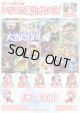 【ポケカオリパ】いちごの演出オリパ27【800円全400本】