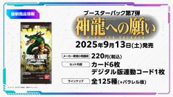 画像1: ※予約商品　※9月13日発売【未開封BOX】神龍への願い【ドラゴンボール】