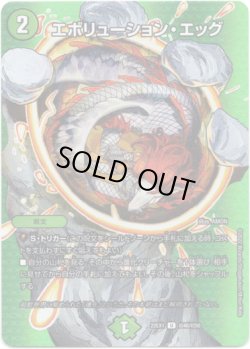画像1: ※傷有り品（返品交換対象外）エボリューション・エッグ
