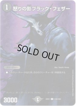 画像1: 怒りの影ブラック・フェザー