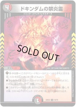 画像1: ドキンダムの禁炎霊