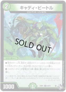 画像1: ※傷有り品（返品交換対象外）キャディ・ビートル