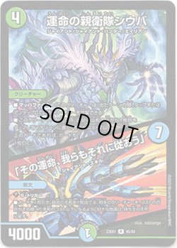 画像1: ※傷有り品（返品交換対象外）運命の親衛隊シウバ / 「その運命、我らもそれに従おう」