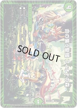 画像1: 命の集う聖域 フィオナの森