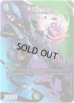 画像1: 天災 デドダム