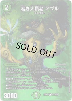 画像1: 若き大長老 アプル