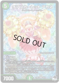 画像1: ※傷有り品（返品交換対象外）チアスカーレット アカネ
