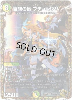 画像1: 百族の長 プチョヘンザ