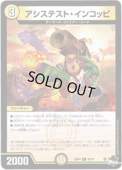 画像1: ※傷有り品（返品交換対象外）アシステスト・インコッピ