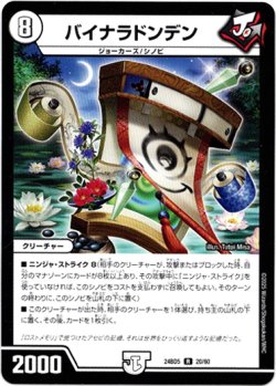 画像1: バイナラドンデン