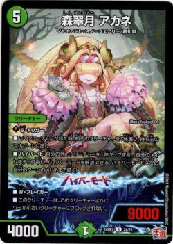 画像1: 森翠月 アカネ