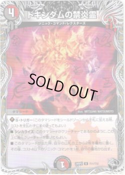 画像1: ※傷有り品（返品交換対象）ドキンダムの禁炎霊