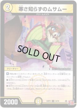 画像1: 寒さ知らずのムサムー