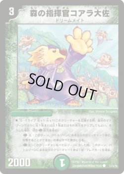 画像1: ※傷有り品（返品交換対象外）森の指揮官コアラ大佐