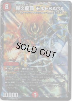画像1: 爆炎龍覇 モルトSAGA
