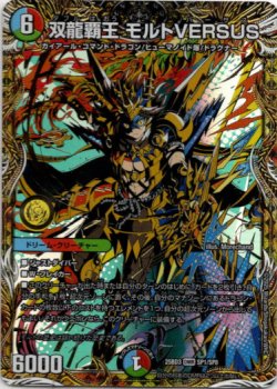 画像1: 双龍覇王 モルトVERSUS