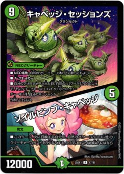 画像1: キャベッジ・セッションズ / ソイルピンプ・キャベッジ