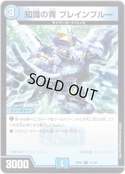 画像1: 知識の青 ブレインブルー
