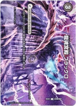 画像1: 龍魂宮殿 ブラックロ（極真龍魂 オール・オーバー・ザ・ワールド）