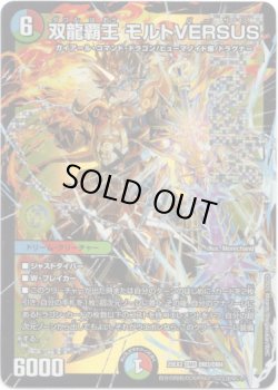 画像1: 双龍覇王 モルトVERSUS