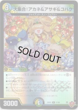 画像1: 大集合！アカネ&アサギ&コハク