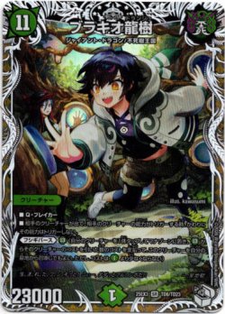 画像1: ブラキオ龍樹