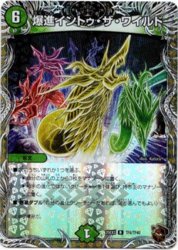 画像1: 爆進イントゥ・ザ・ワイルド