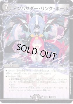 画像1: アンバサダー・リンク・ホール