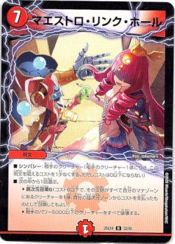 画像1: マエストロ・リンク・ホール