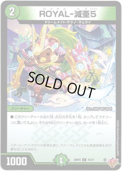 画像1: ※傷有り品（返品交換対象）ROYAL-減亜5