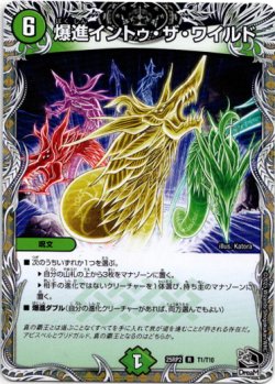 画像1: 爆進イントゥ・ザ・ワイルド