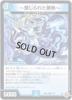 画像1: 〜禁じられた蒸熱〜