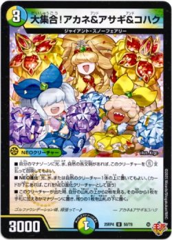 画像1: 大集合！アカネ&アサギ&コハク