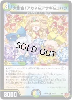 画像1: ※傷有り品（返品交換対象外）大集合！アカネ&アサギ&コハク