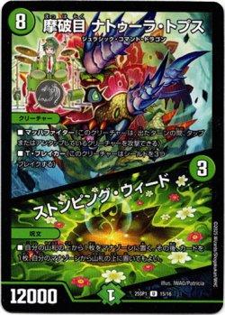 画像1: 摩破目 ナトゥーラ・トプス / ストンピング・ウィード