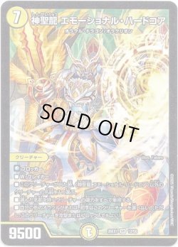 画像1: 神聖龍 エモーショナル・ハードコア