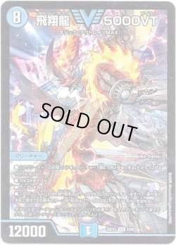 画像1: 飛翔龍 5000VT