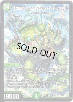画像1: 十四番龍 アクロスラピュタズ Par青天井