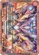 Dの侵略 クリム・ゾーン