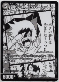 画像1: 邪妃左神 バンバーシュート