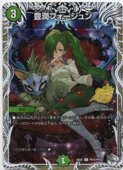 画像1: 豊潤フォージュン