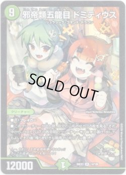 画像1: 邪帝類五龍目 ドミティウス