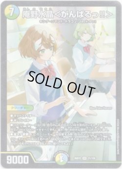 画像1: 庵野水晶＜がんばるっ!!＞