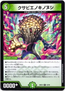 画像1: クサビエノキノヌシ
