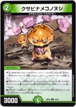 画像1: クサビナメコノヌシ