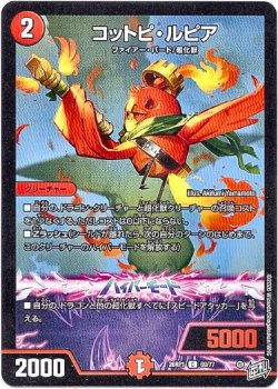画像1: コットピ・ルピア