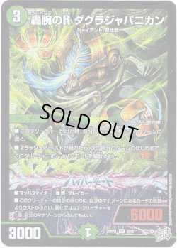 画像1: ※傷有り品（返品交換対象外）轟腕のR ダグラジャパニカン