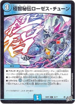 画像1: 極智秘伝ローゼス・チューン