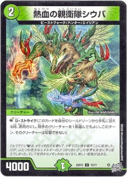 画像1: 熱血の親衛隊シウバ