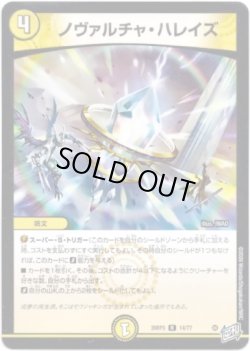 画像1: ノヴァルチャ・ハレイズ